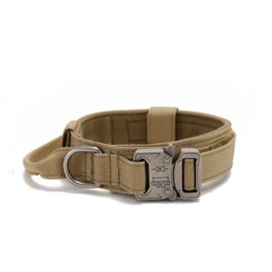 Dog collar/কুকুরের গলার বেল্ট।