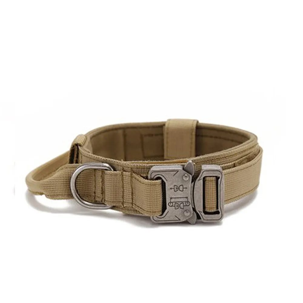 Dog collar/কুকুরের গলার বেল্ট।