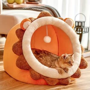 Cat house/বিড়ালের ঘর।