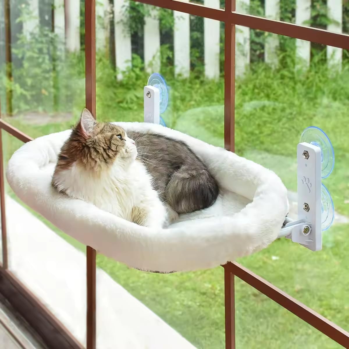 Cat hammock/বিড়ালের ঝুলন্ত বিছানা।